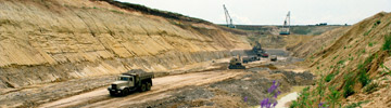 Mining Business Services